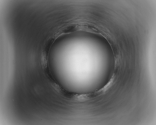 X0000102300186200807251442