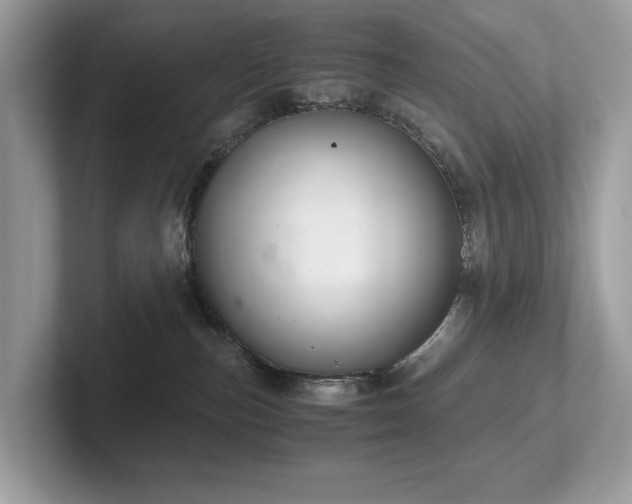 X0000102300187200807251442