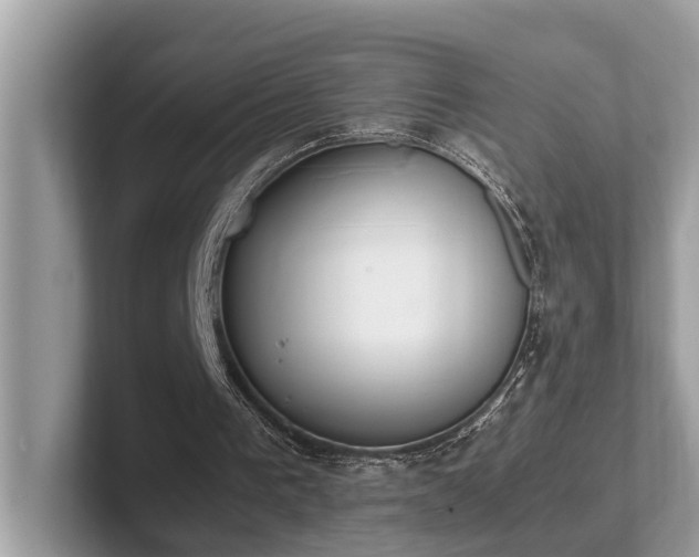 X0000102300193200807251442