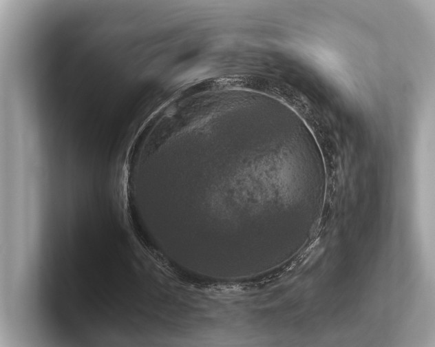 X0000102300194200807251442