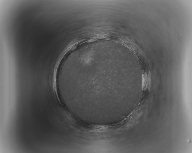 X0000102300195200807251442