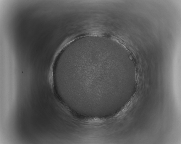 X0000102300198200807251442