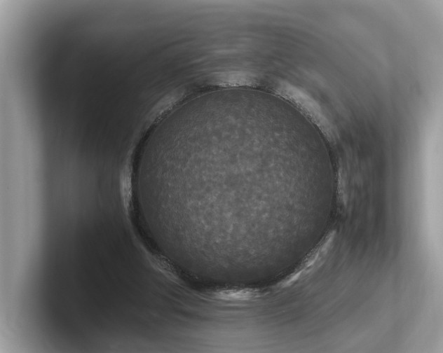 X0000102300202200807251442