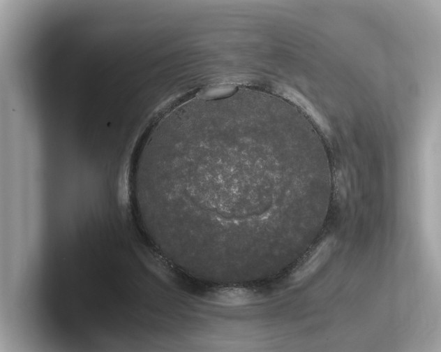 X0000102300203200807251442