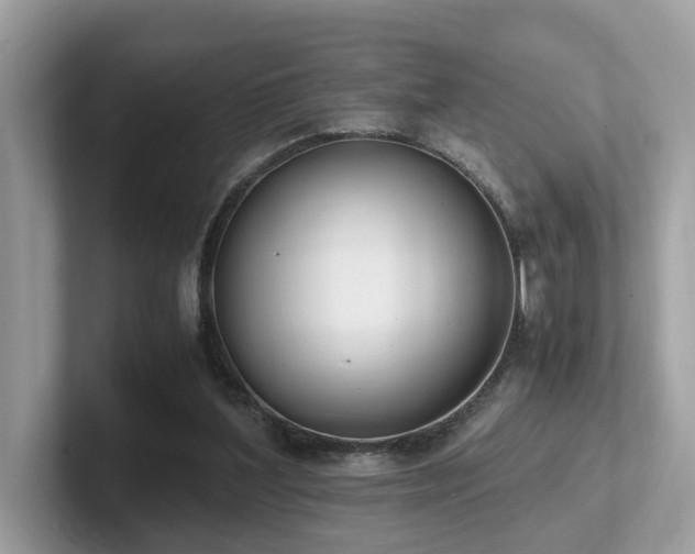 X0000102300204200807251442