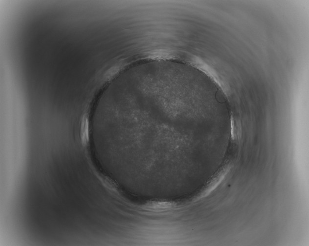 X0000102300205200807251442