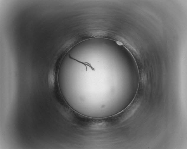 X0000102300206200807251441