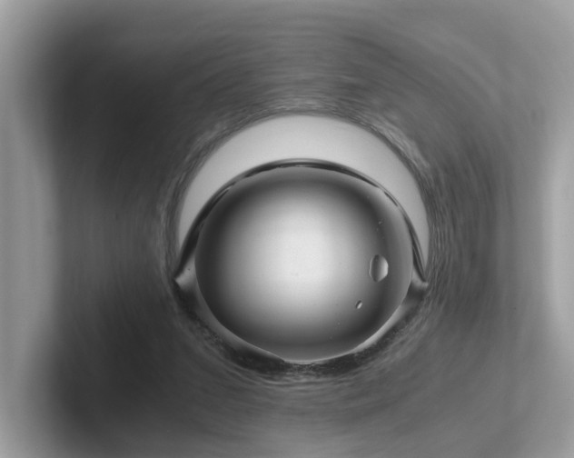 X0000102300207200807251441