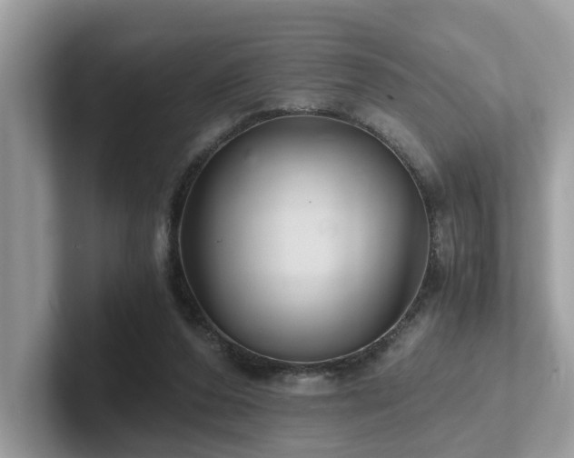 X0000102300208200807251441