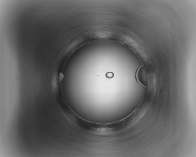 X0000102300212200807251441