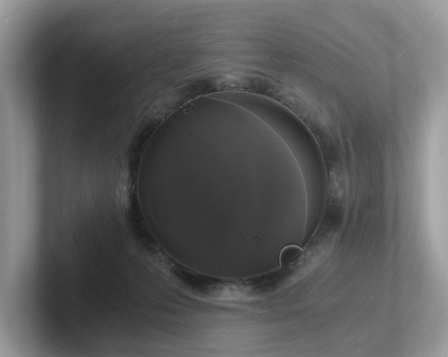 X0000102300223200807251441