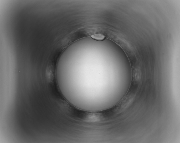 X0000102300226200807251441