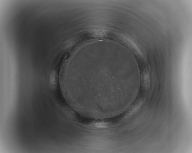 X0000102300228200807251441