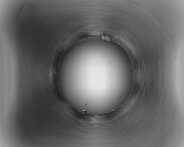 X0000102300229200807251441