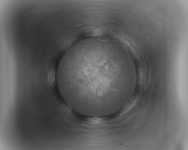 X0000102300230200807251441