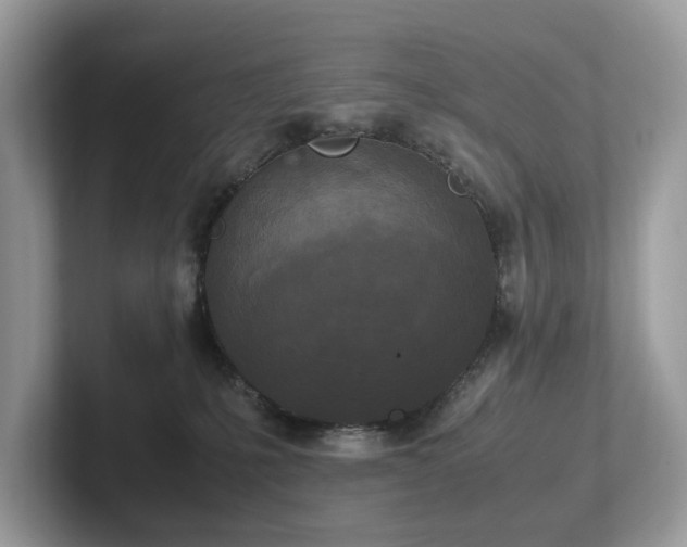 X0000102300231200807251441