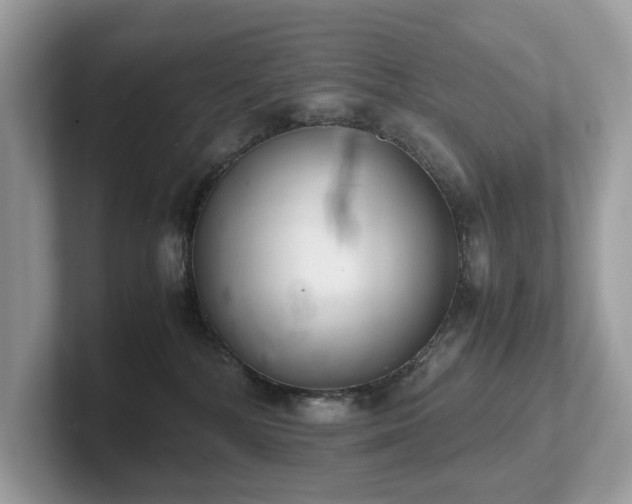 X0000102300232200807251441