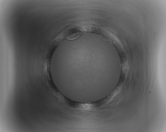 X0000102300233200807251441