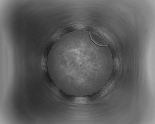 X0000102300234200807251441