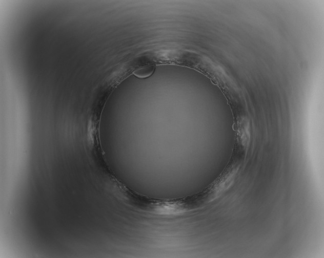 X0000102300235200807251441