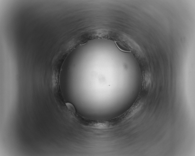 X0000102300236200807251441