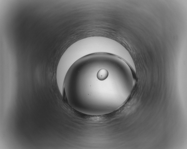 X0000102300237200807251441