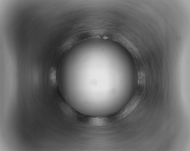 X0000102300238200807251441