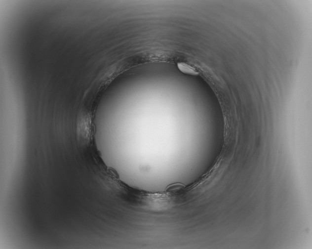 X0000102300240200807251441