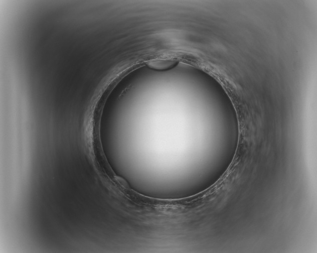 X0000102300242200807251440