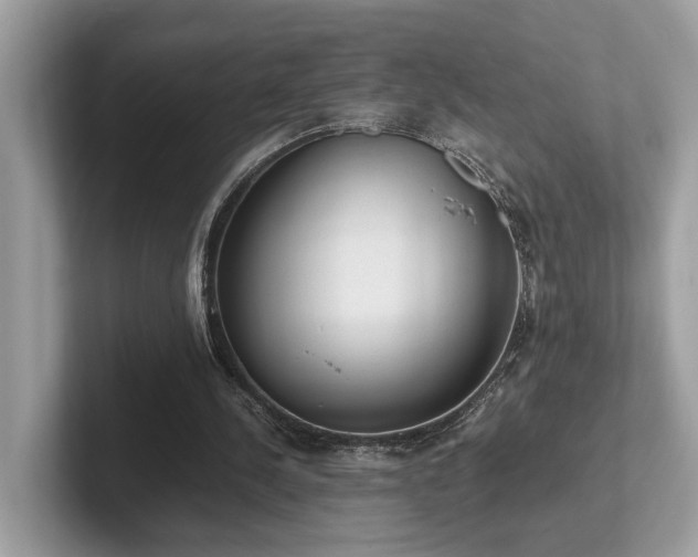 X0000102300244200807251440