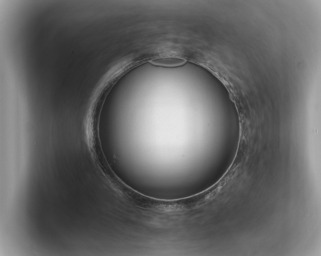 X0000102300245200807251440