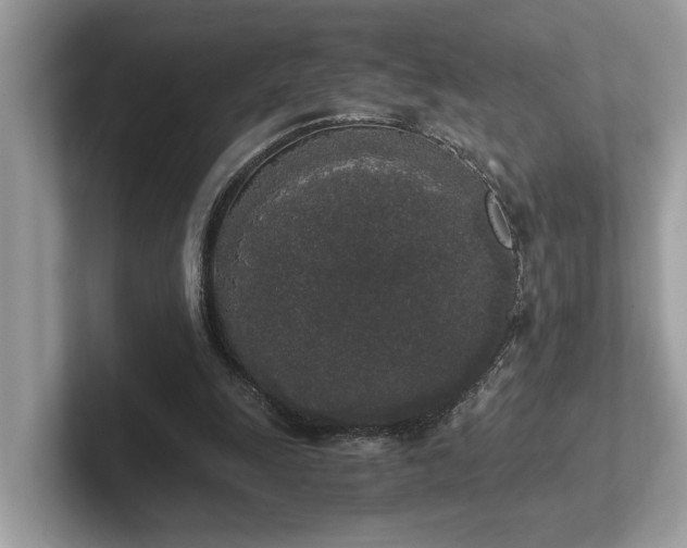 X0000102300247200807251440