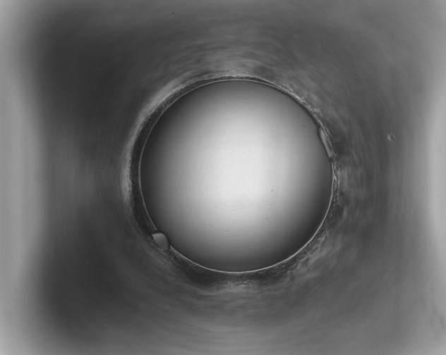 X0000102300248200807251441