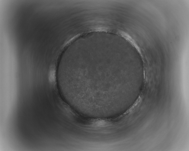 X0000102300249200807251441