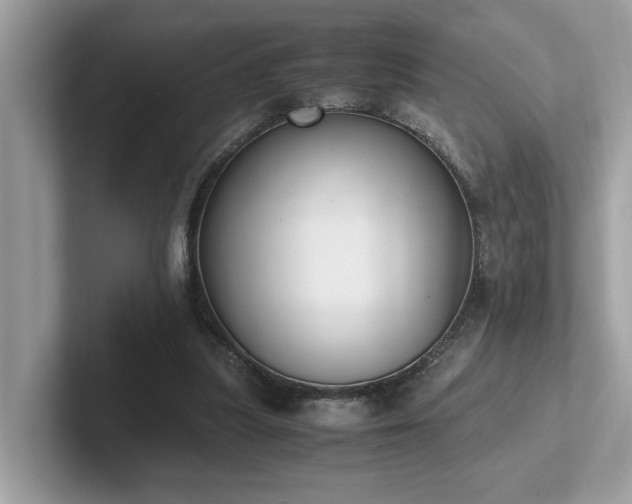 X0000102300251200807251441