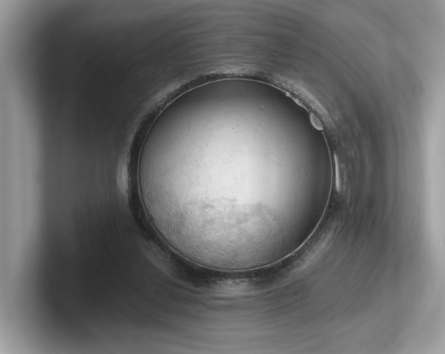 X0000102300252200807251441