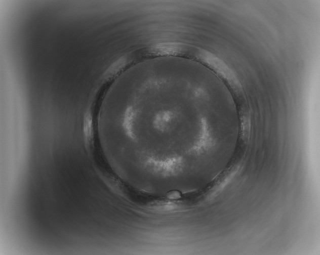 X0000102300254200807251441