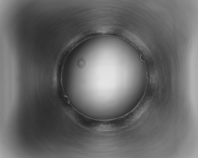 X0000102300256200807251441