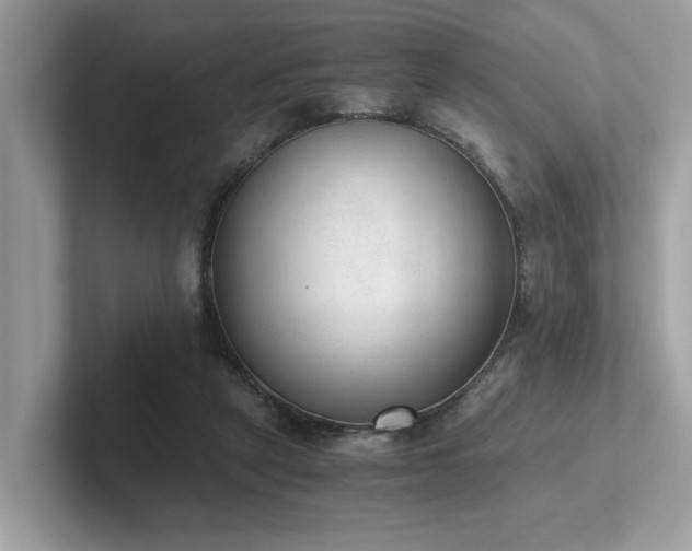 X0000102300257200807251441