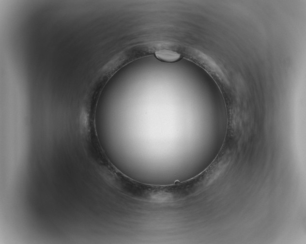 X0000102300258200807251441