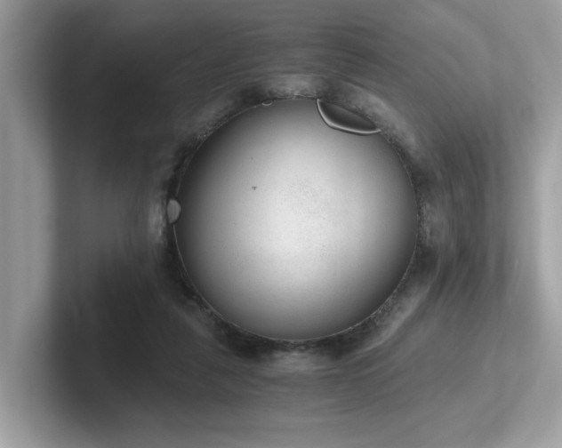 X0000102300259200807251441