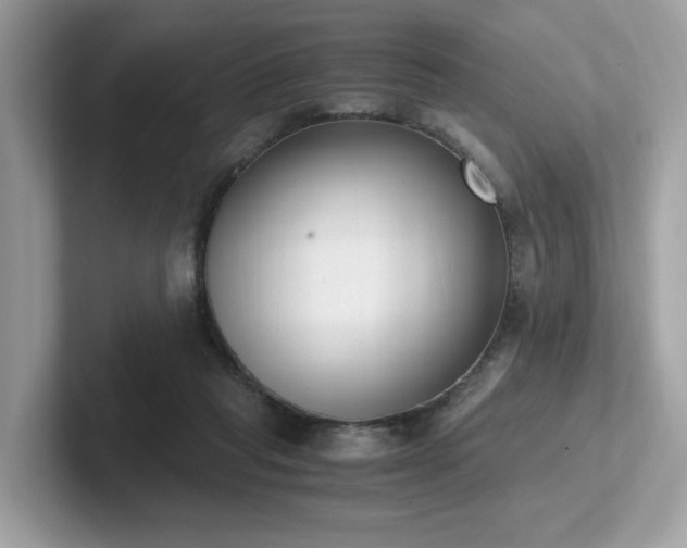 X0000102300261200807251441