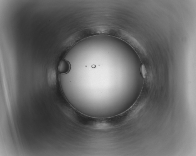 X0000102300262200807251441