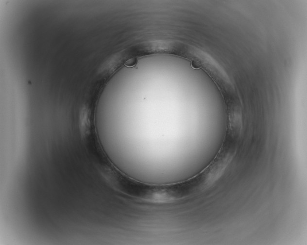 X0000102300264200807251441