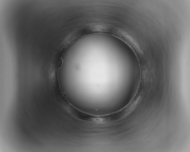 X0000102300265200807251441