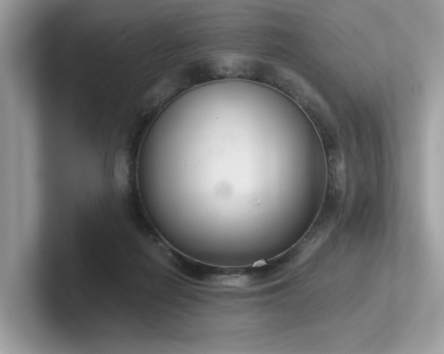 X0000102300266200807251441