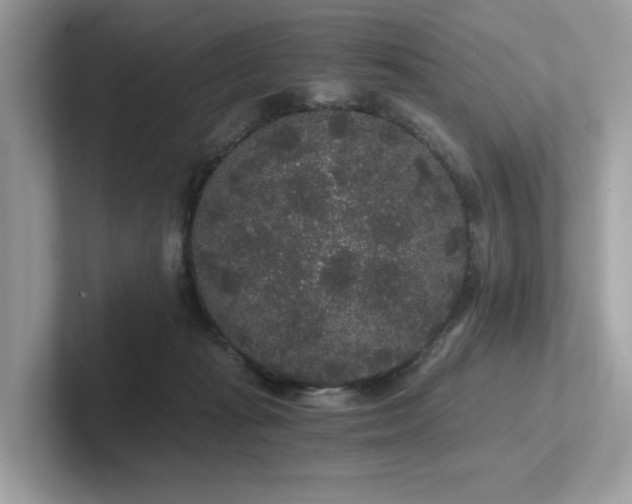 X0000102300269200807251441