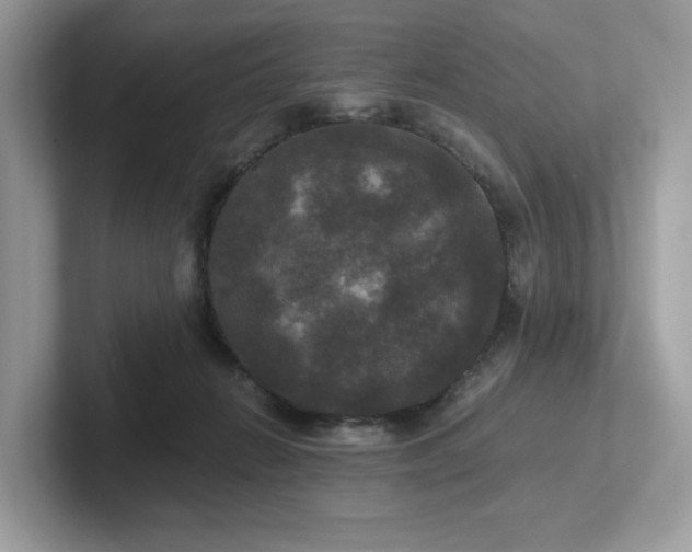 X0000102300270200807251441