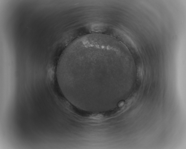 X0000102300271200807251441