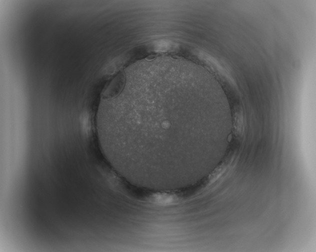 X0000102300272200807251441